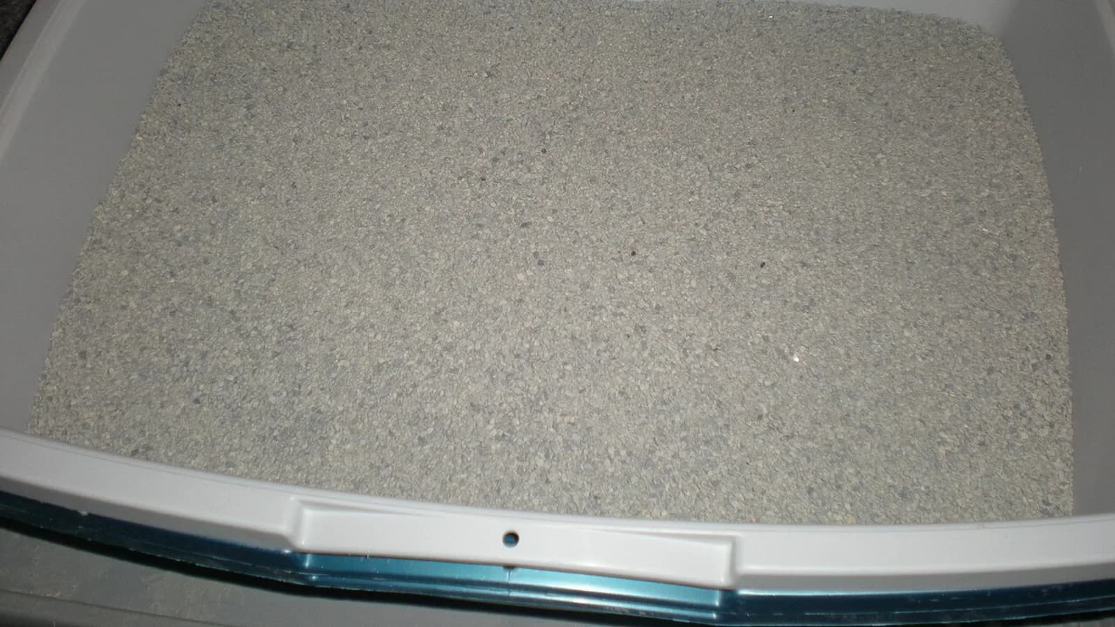 How Many Litter Boxes, and Where to Put Them