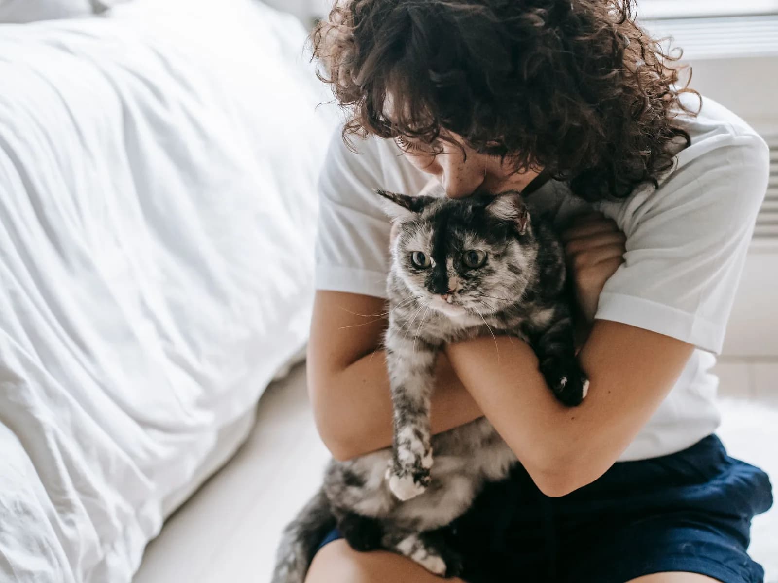 A cat pressed into its person's arms: the affection this page ranks by measured data, not marketing