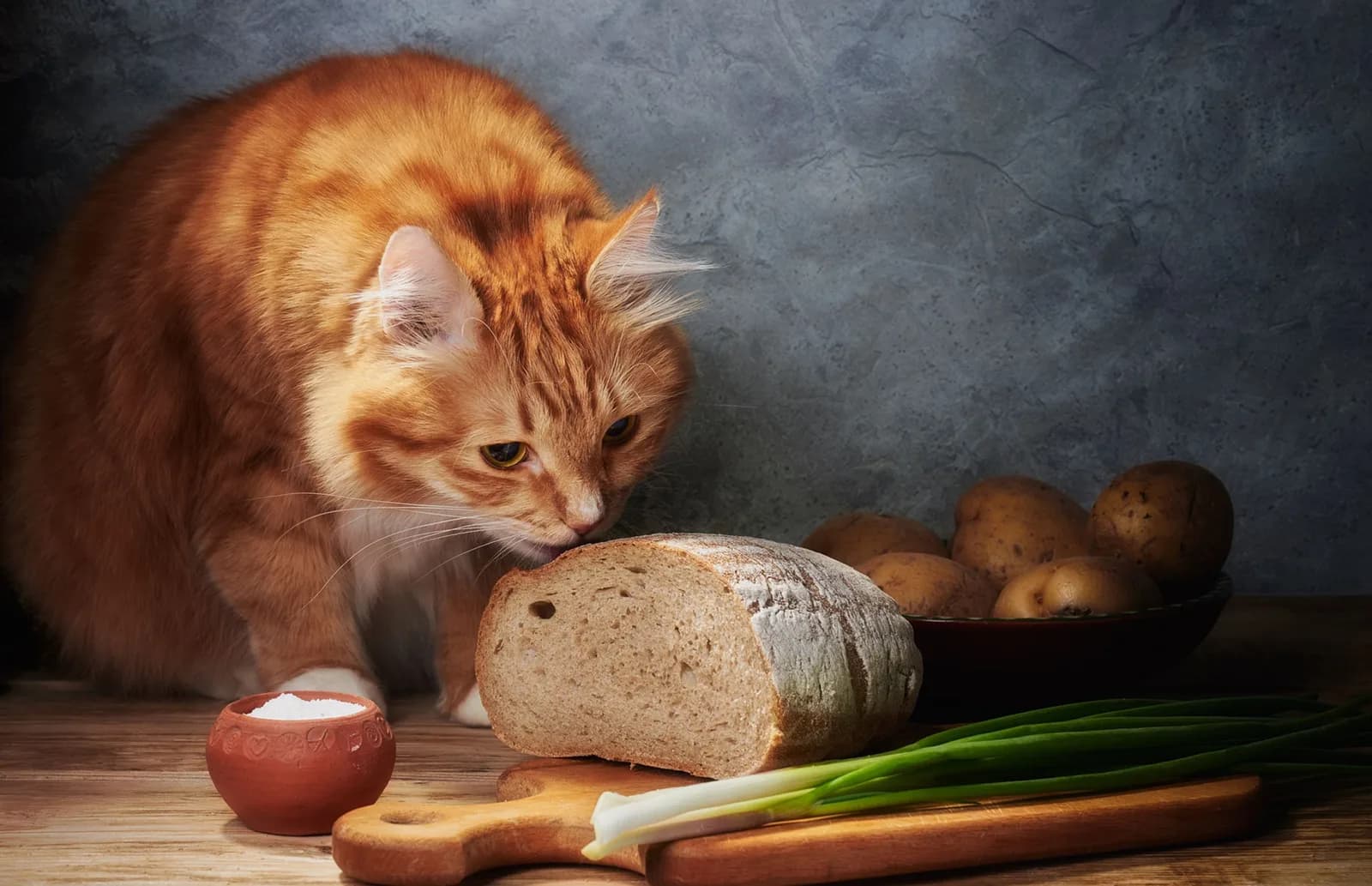 A fluffy ginger cat on a kitchen counter, nose pressed to a loaf of bread next to potatoes and spring onions.
