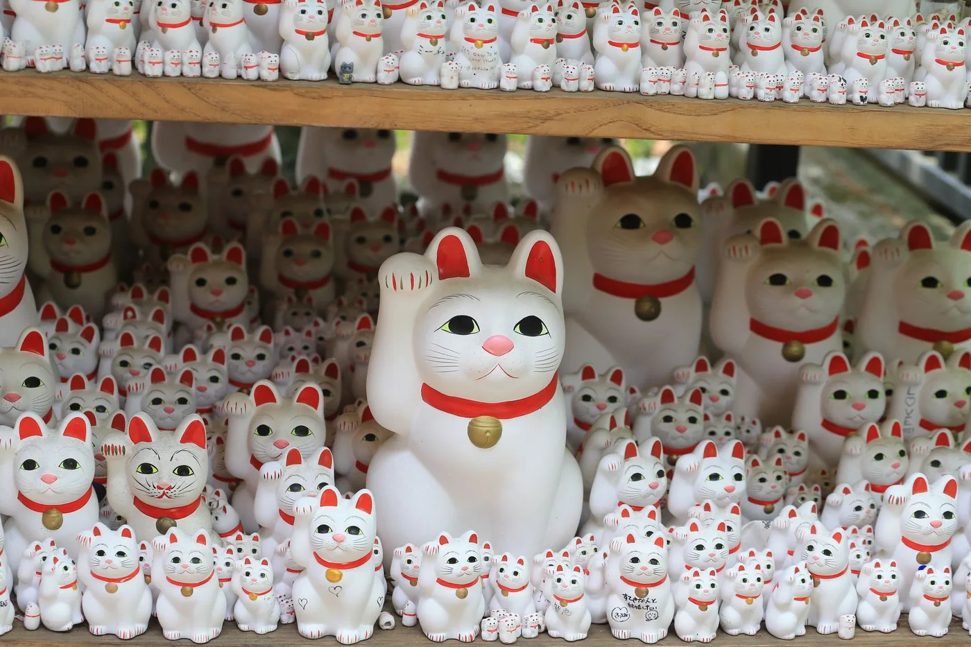 Hundreds of white maneki-neko figurines with raised paws and red collars lined up on wooden shelves at Gotoku-ji temple in Tokyo