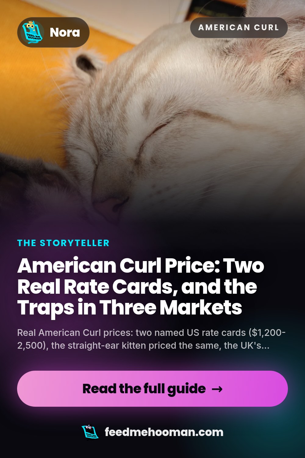 American Curl Price: Two Real Rate Cards, and the Traps in Three Markets