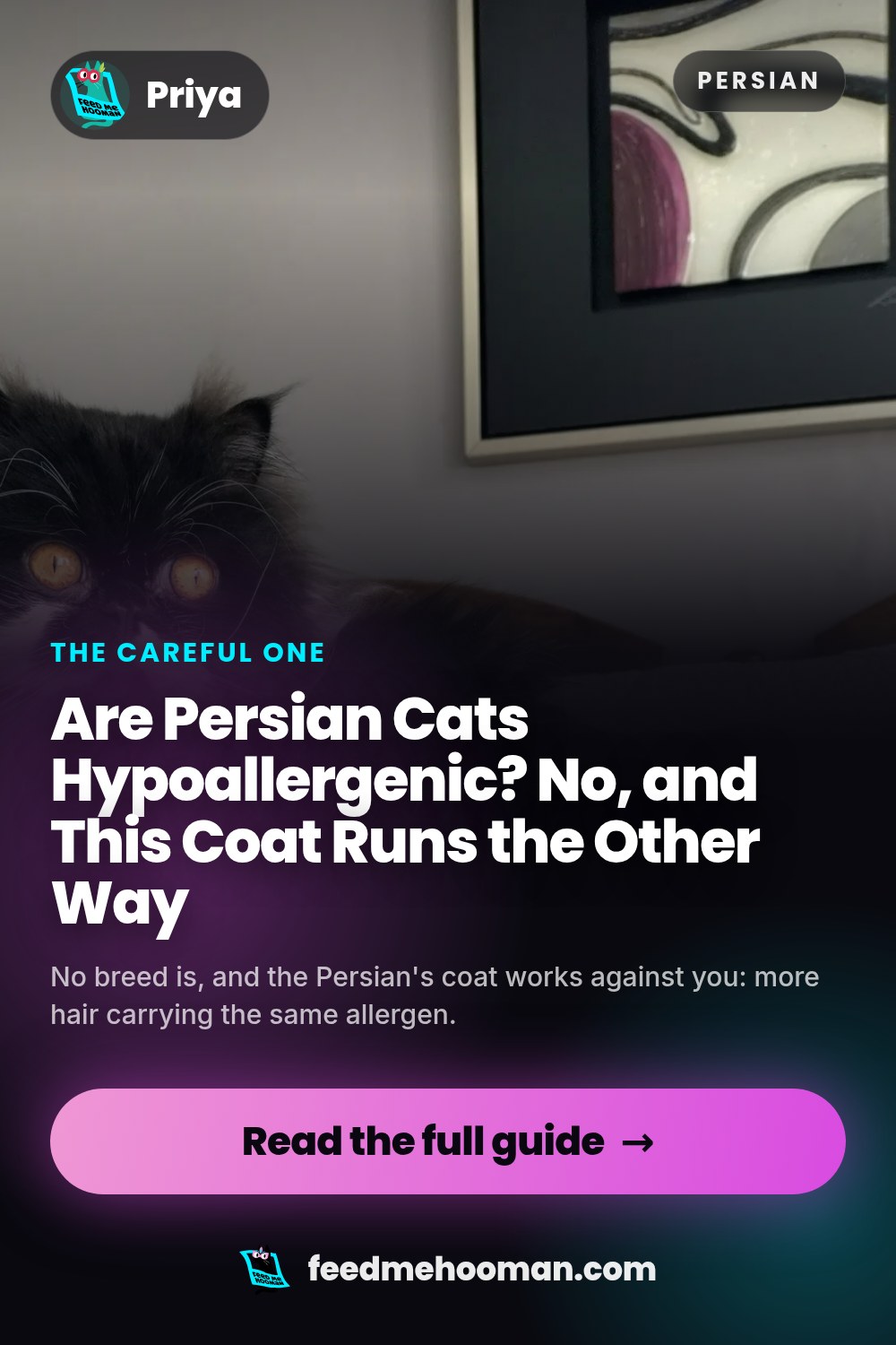 Are Persian Cats Hypoallergenic? No, and This Coat Runs the Other Way