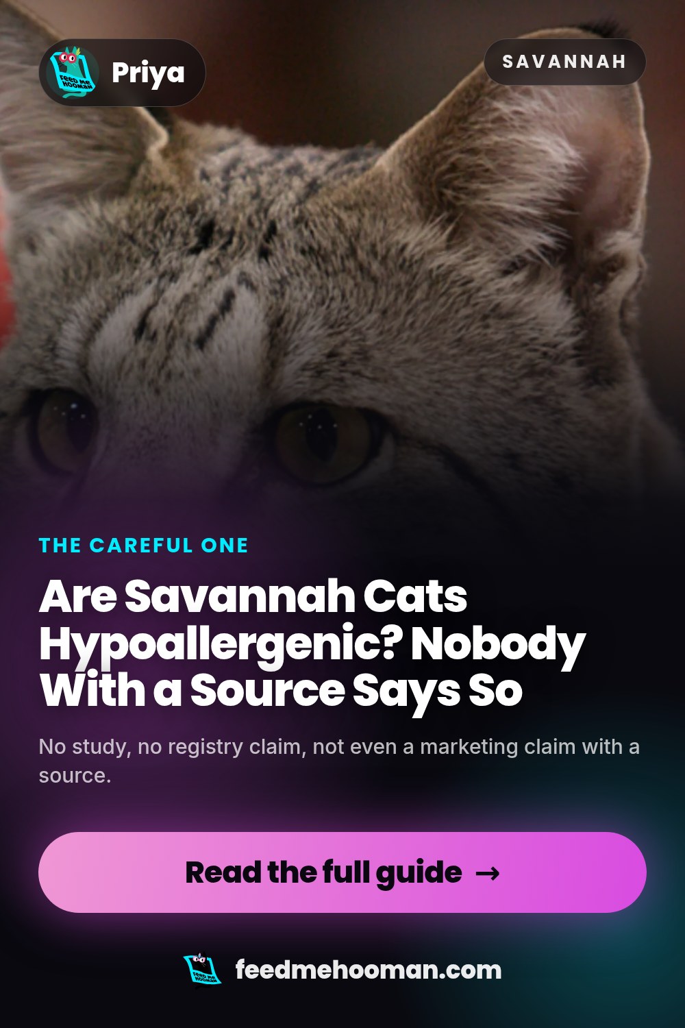 Are Savannah Cats Hypoallergenic? Nobody With a Source Says So