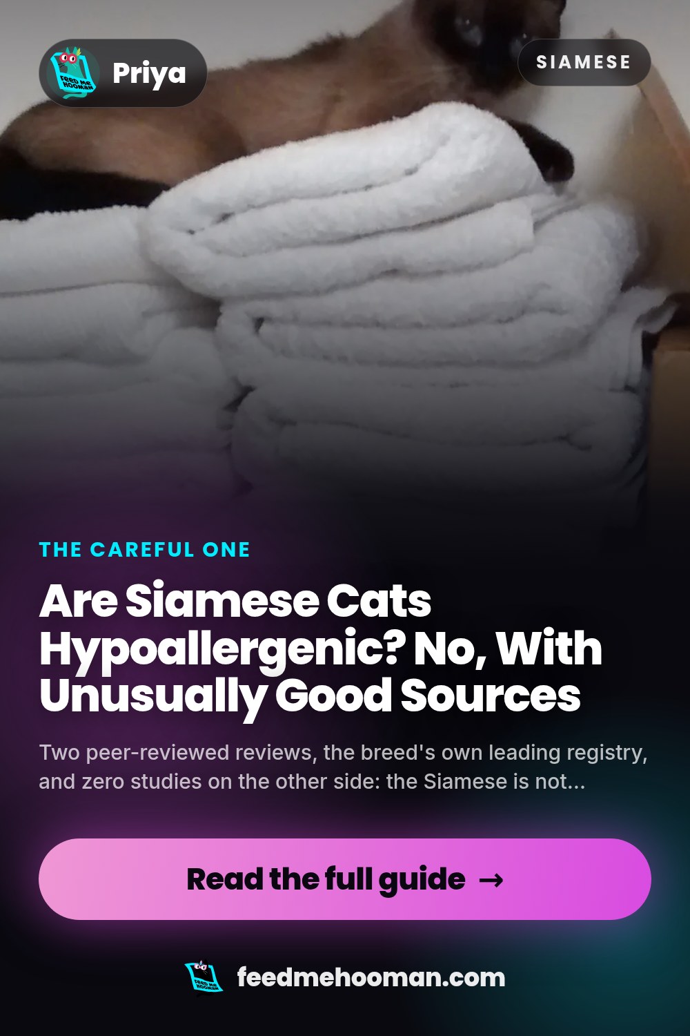 Are Siamese Cats Hypoallergenic? No, With Unusually Good Sources
