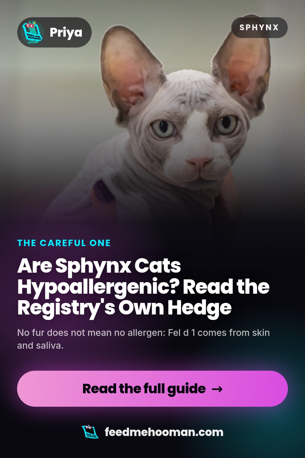 Are Sphynx Cats Hypoallergenic? Read the Registry's Own Hedge