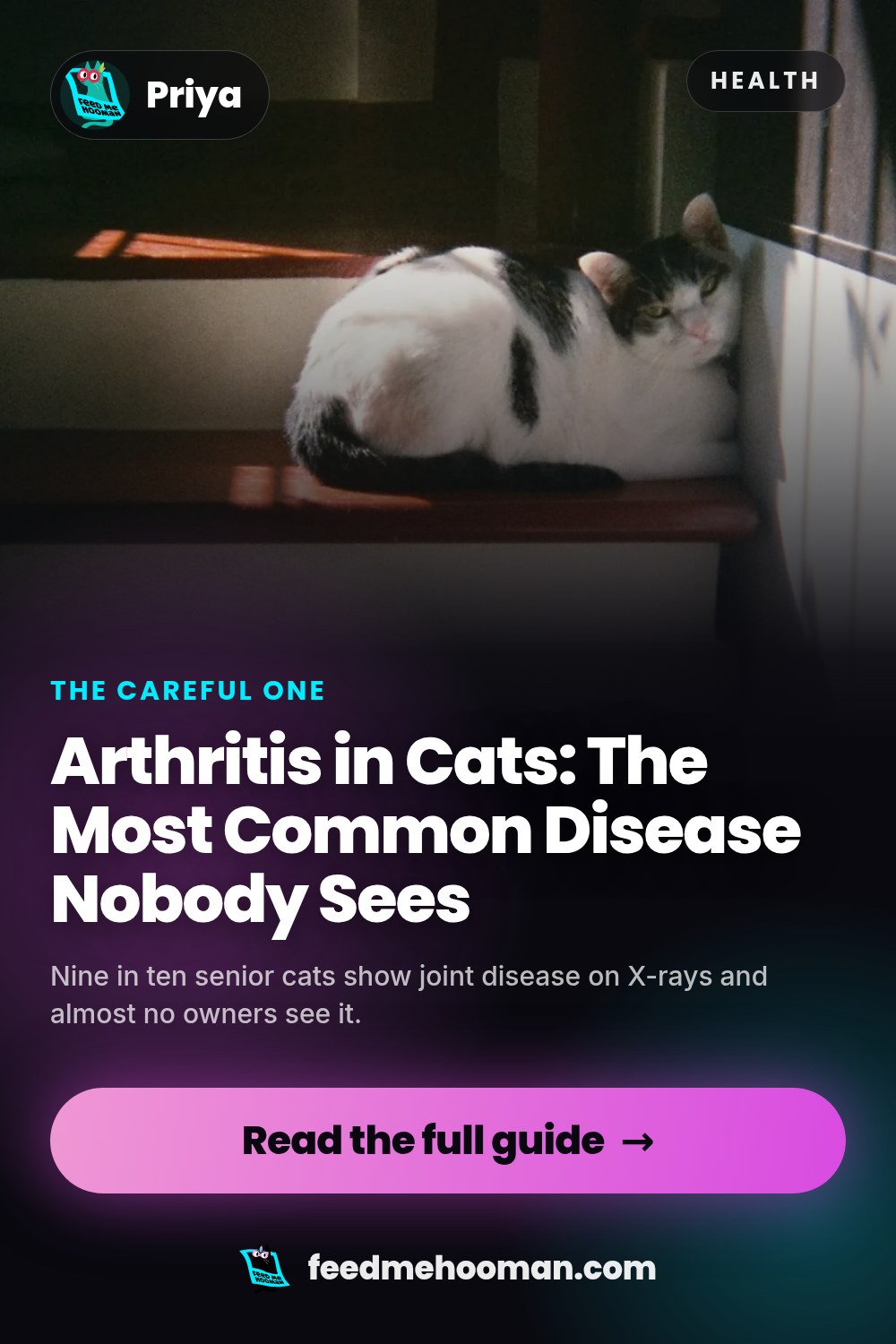 Arthritis in Cats: The Most Common Disease Nobody Sees