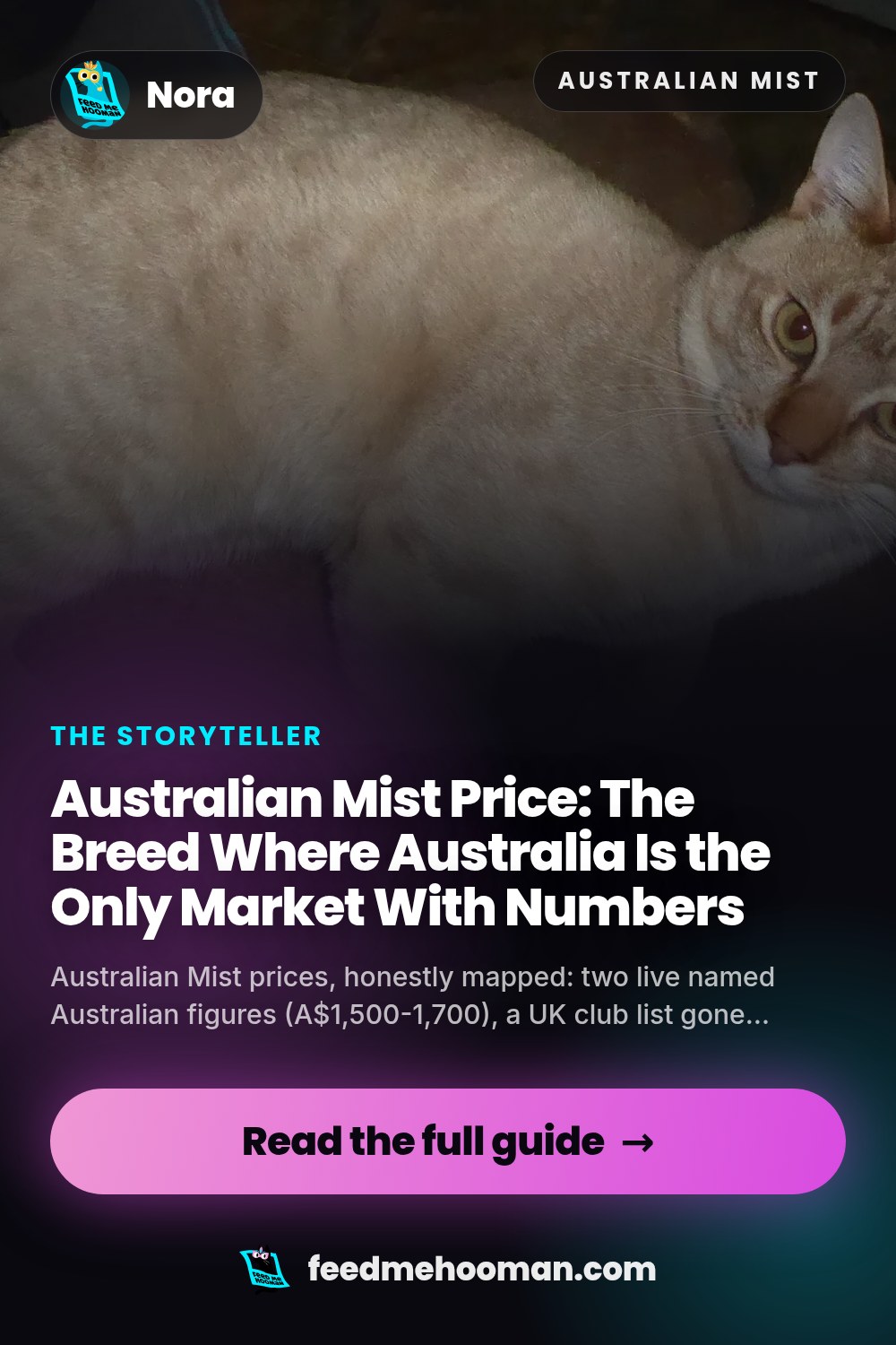 Australian Mist Price: The Breed Where Australia Is the Only Market With Numbers