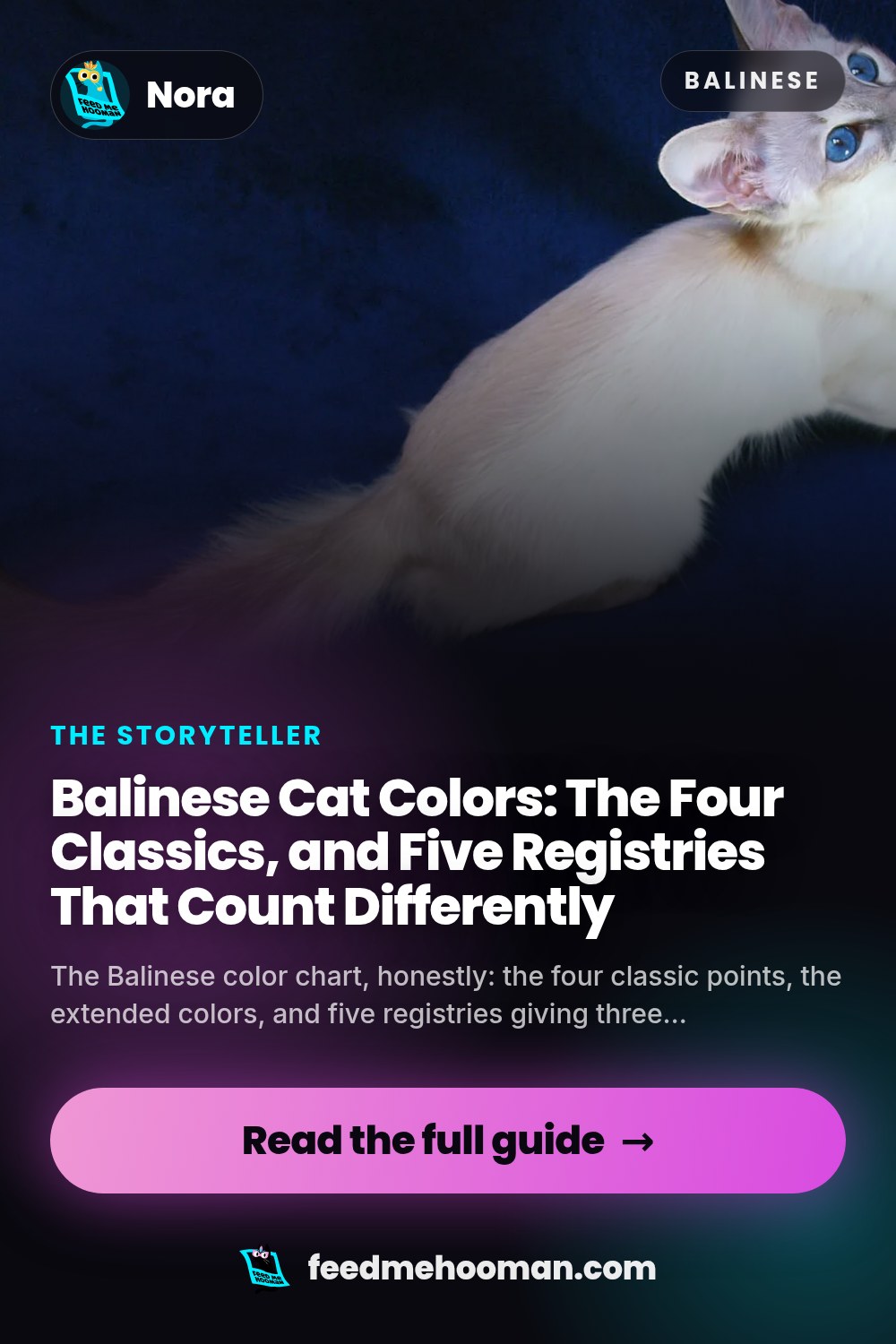 Balinese Cat Colors: The Four Classics, and Five Registries That Count Differently