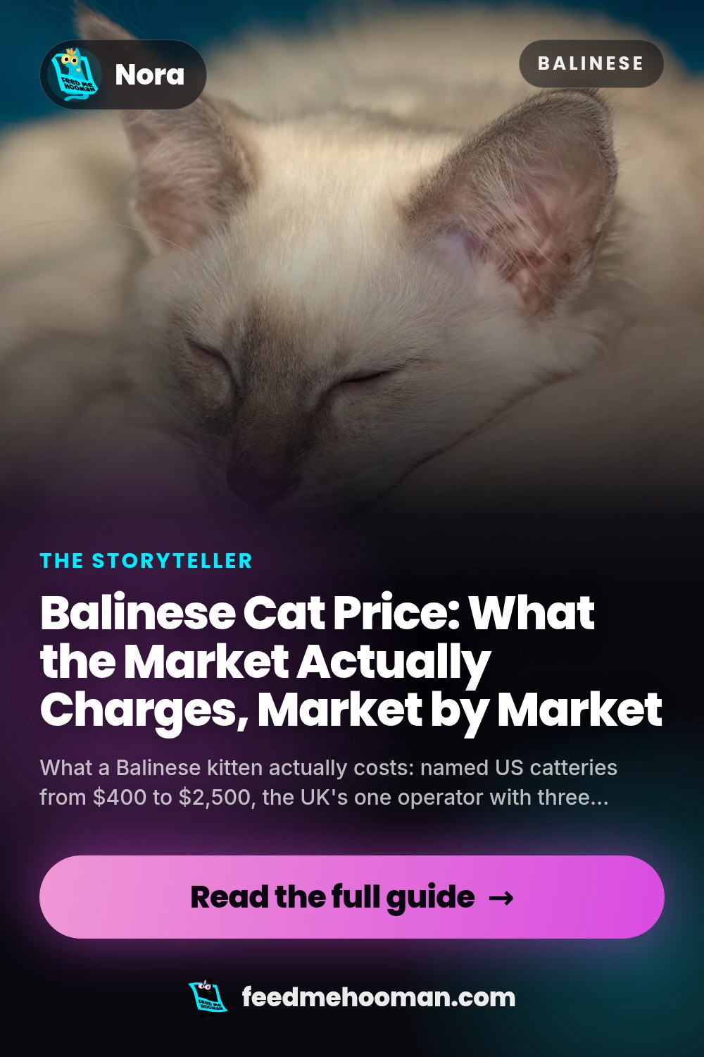Balinese Cat Price: What the Market Actually Charges, Market by Market