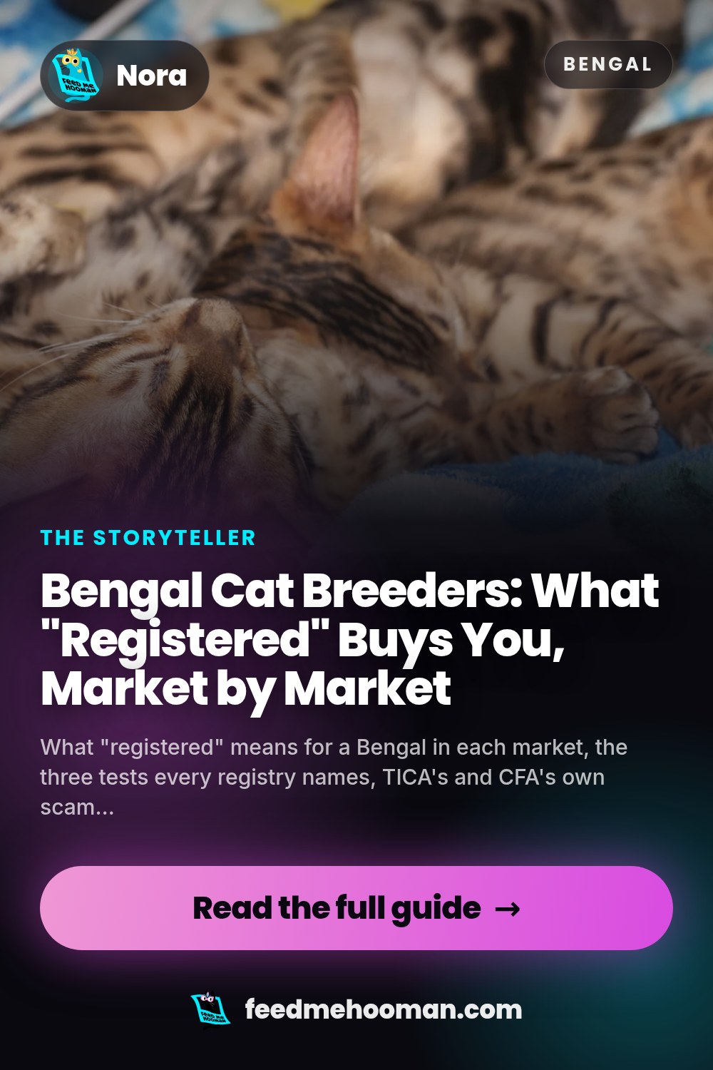 Bengal Cat Breeders: What "Registered" Buys You, Market by Market