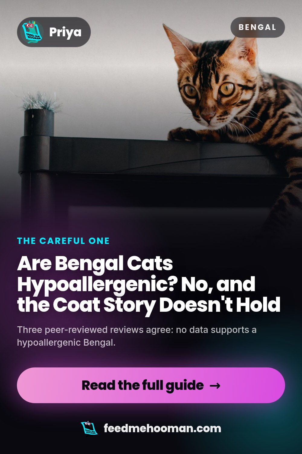 Are Bengal Cats Hypoallergenic? No, and the Coat Story Doesn't Hold
