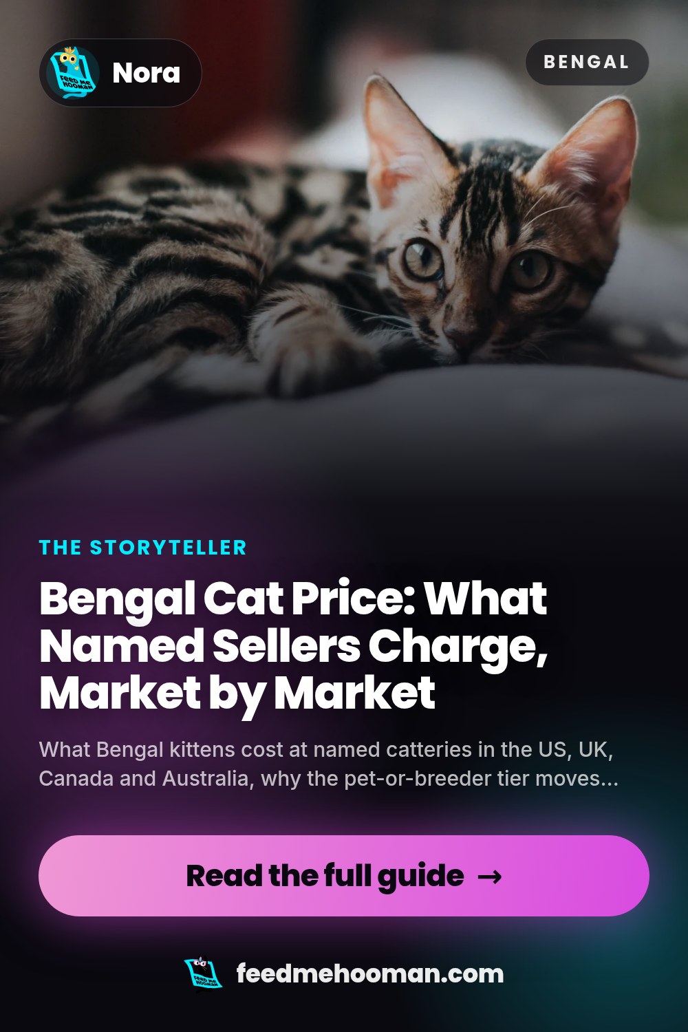 Bengal Cat Price: What Named Sellers Charge, Market by Market