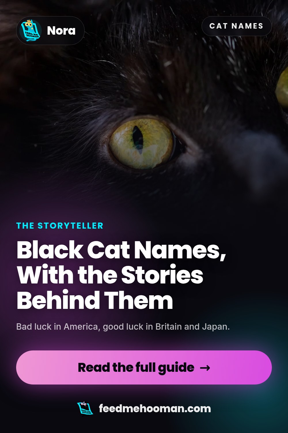 Black Cat Names, With the Stories Behind Them