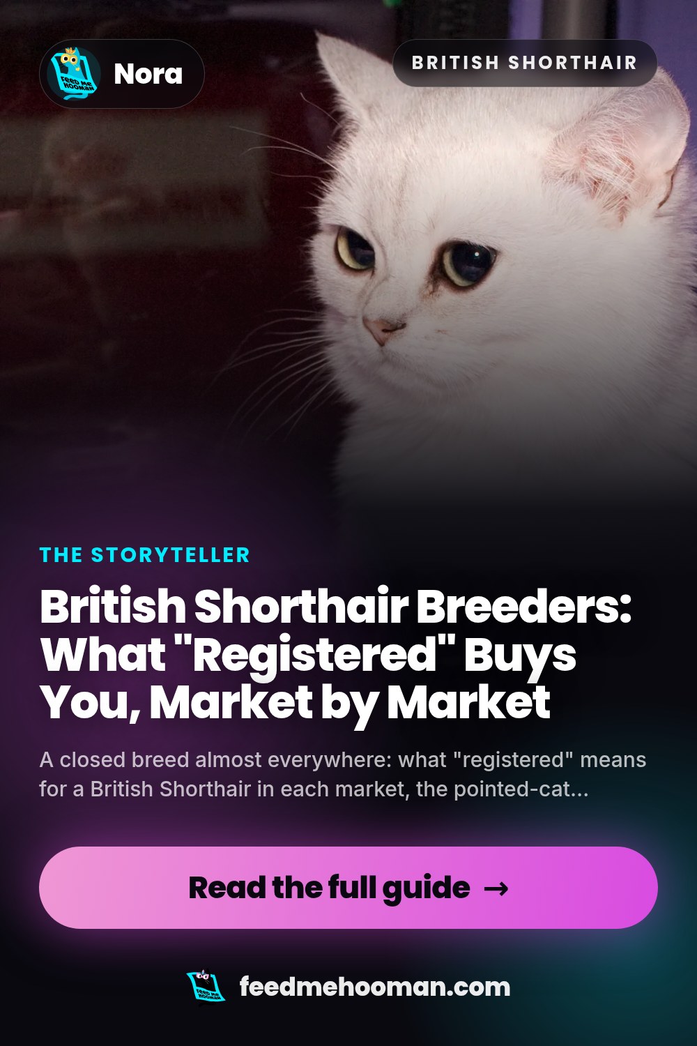 British Shorthair Breeders: What "Registered" Buys You, Market by Market