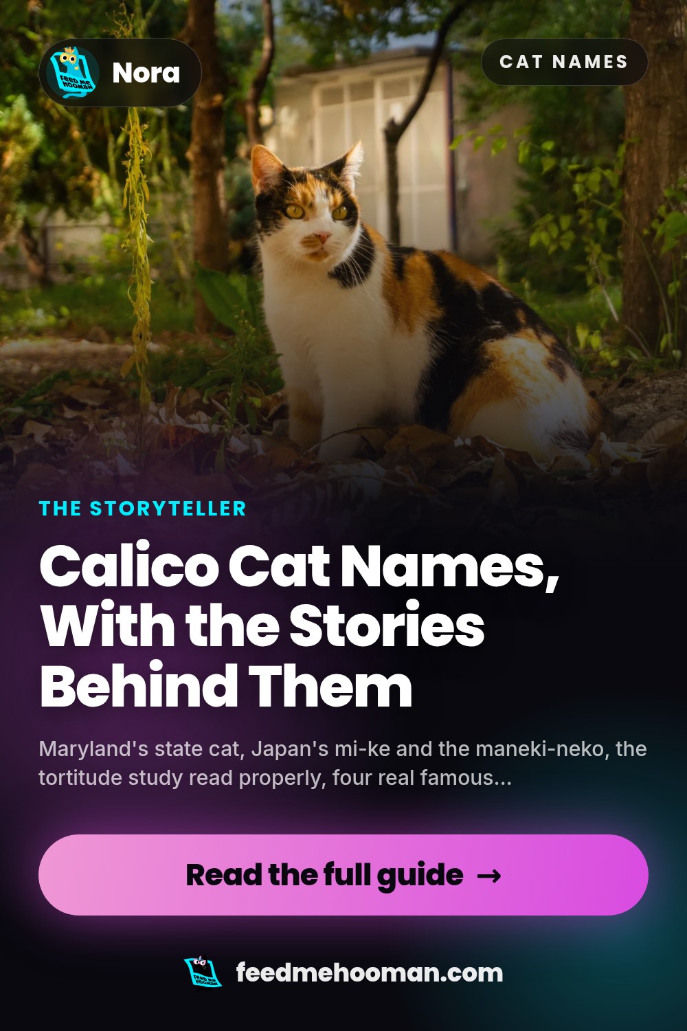 Calico Cat Names, With the Stories Behind Them