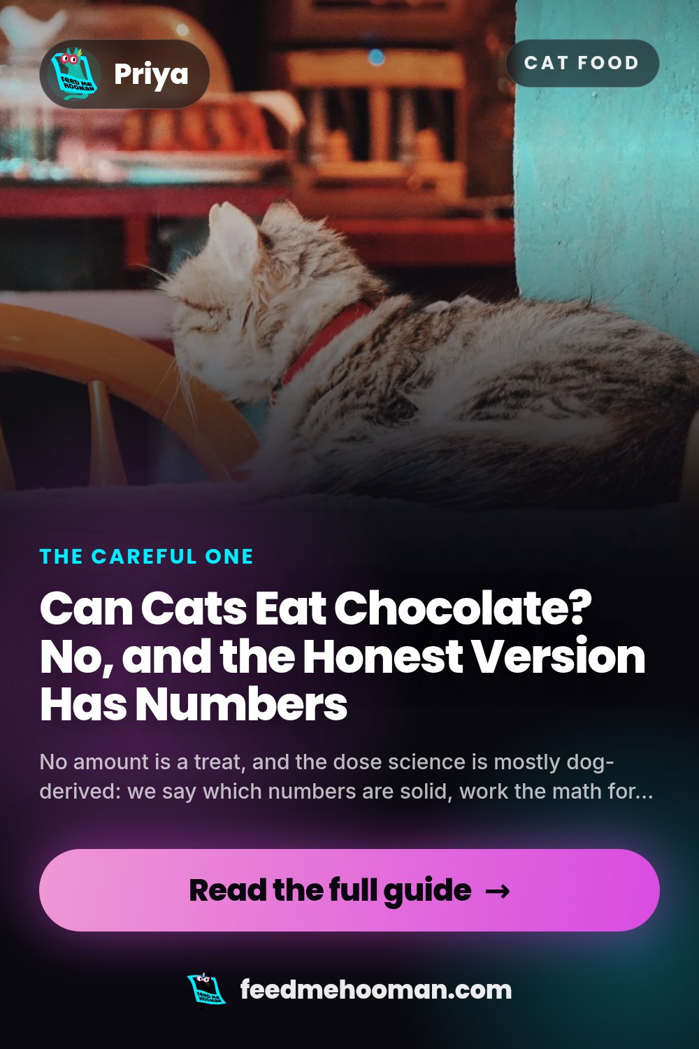 Can Cats Eat Chocolate? No, and the Honest Version Has Numbers