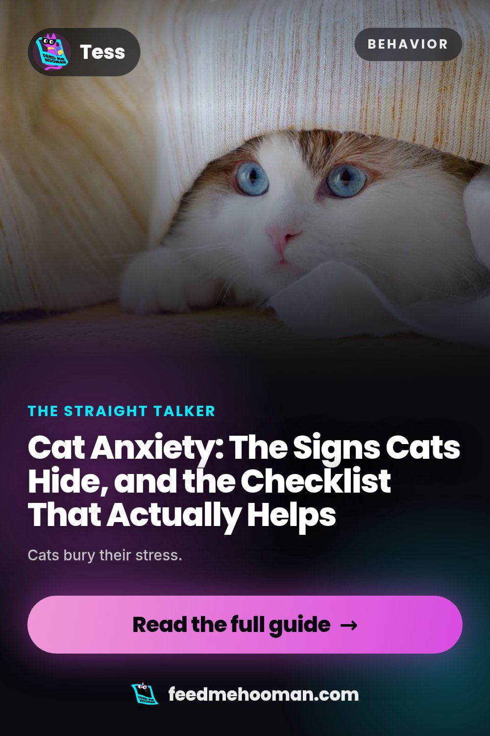Cat Anxiety: The Signs Cats Hide, and the Checklist That Actually Helps