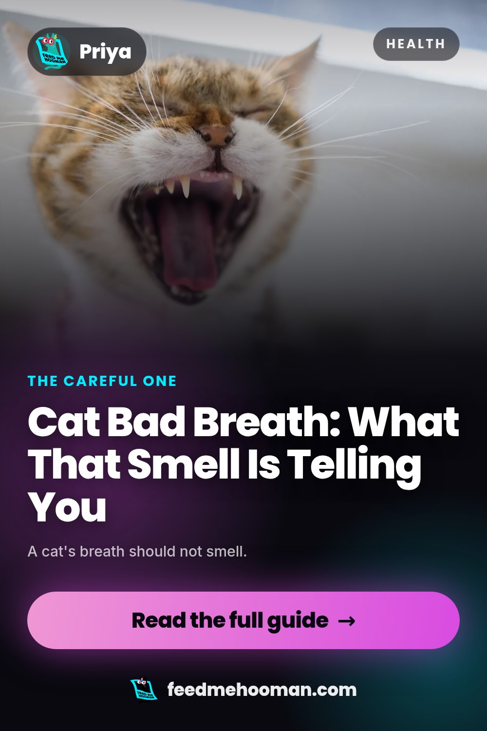 Cat Bad Breath: What That Smell Is Telling You
