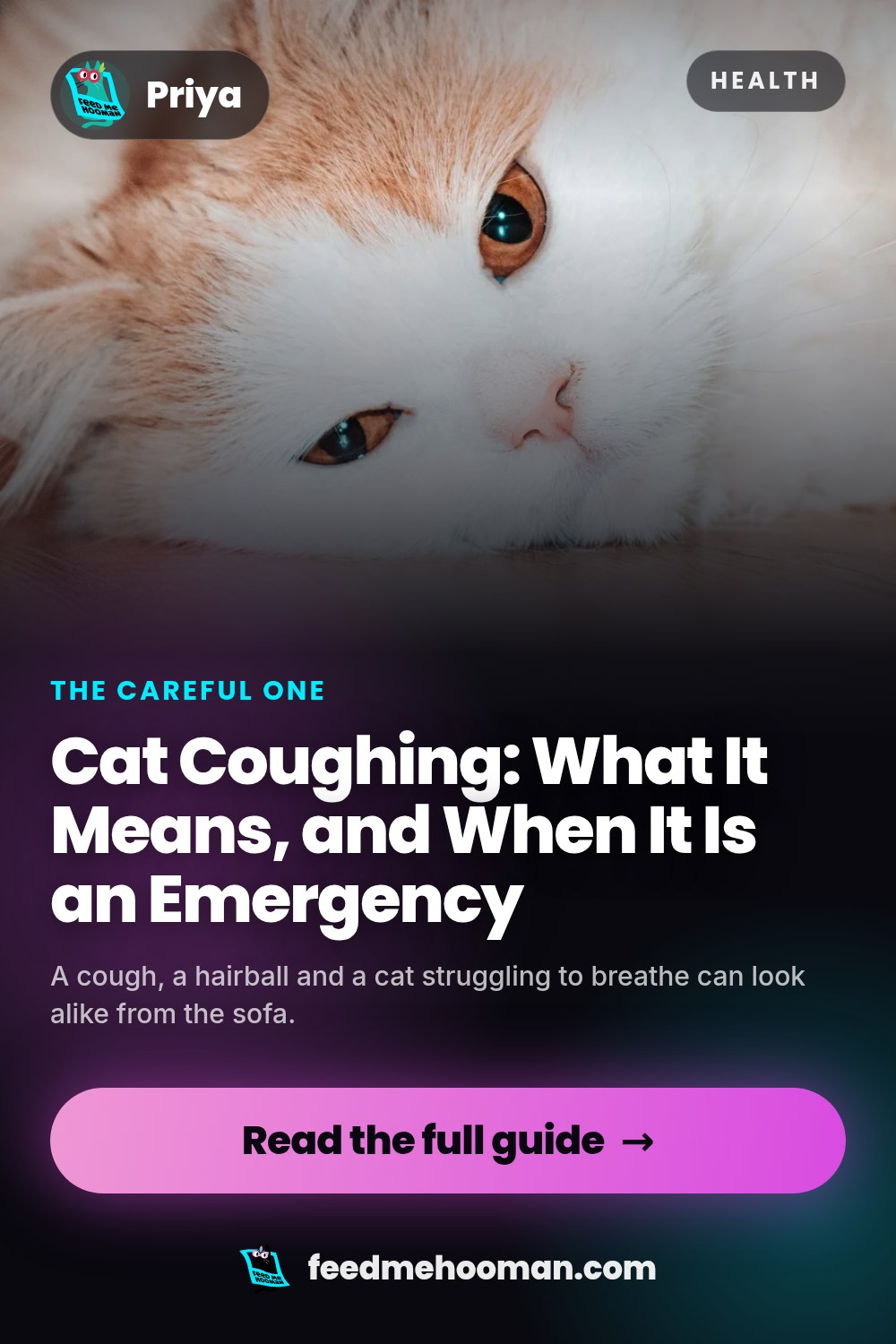 Cat Coughing: What It Means, and When It Is an Emergency