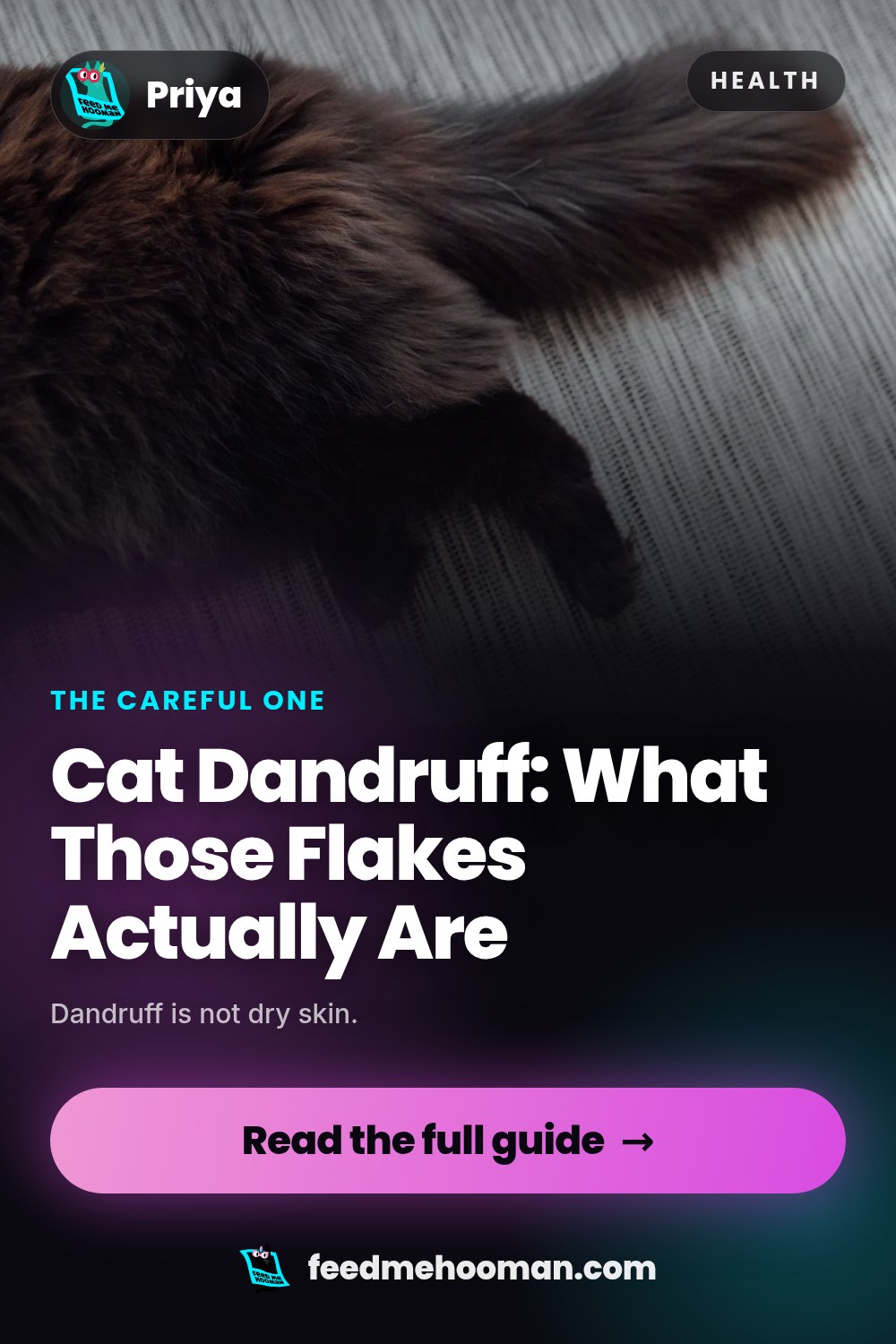 Cat Dandruff: What Those Flakes Actually Are
