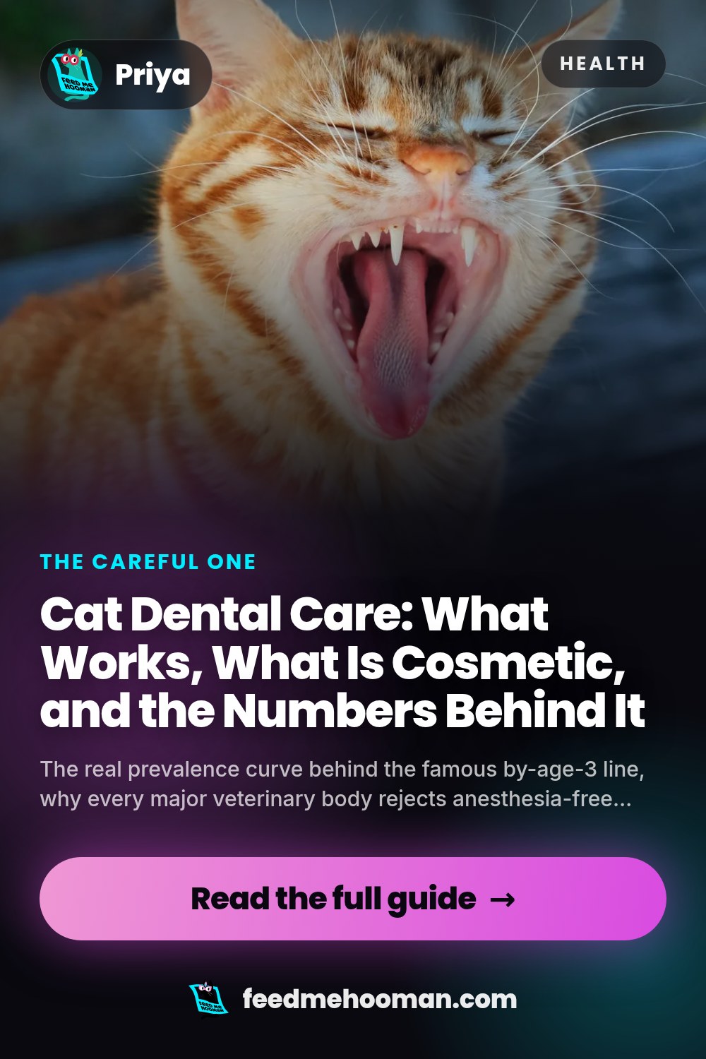 Cat Dental Care: What Works, What Is Cosmetic, and the Numbers Behind It