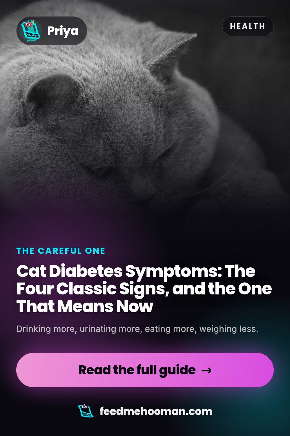 Cat Diabetes Symptoms: The Four Classic Signs, and the One That Means Now