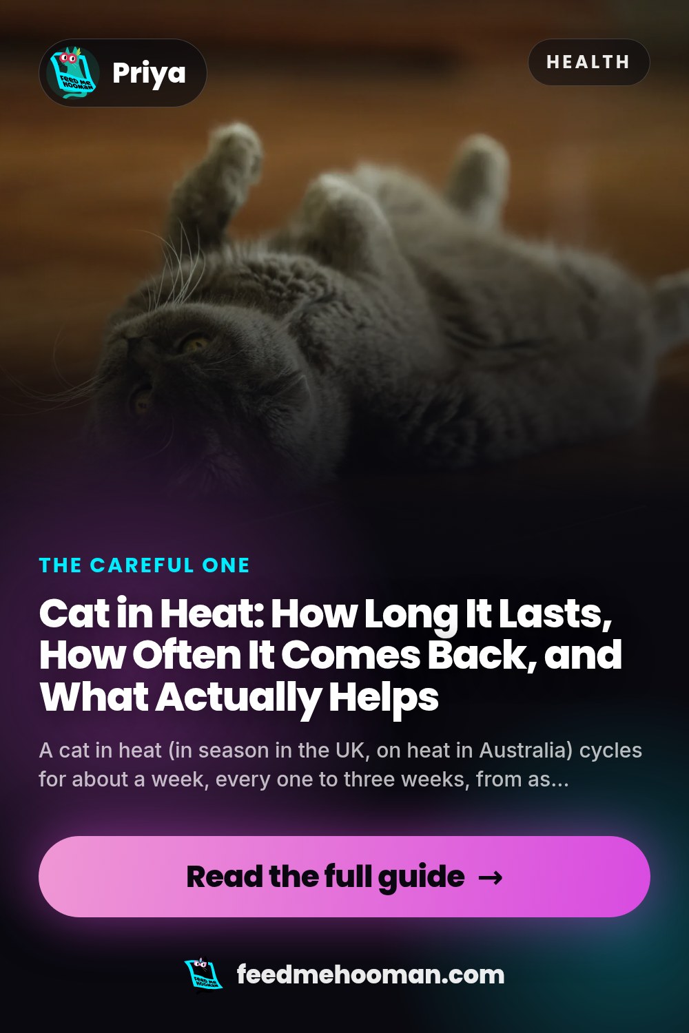 Cat in Heat: How Long It Lasts, How Often It Comes Back, and What Actually Helps