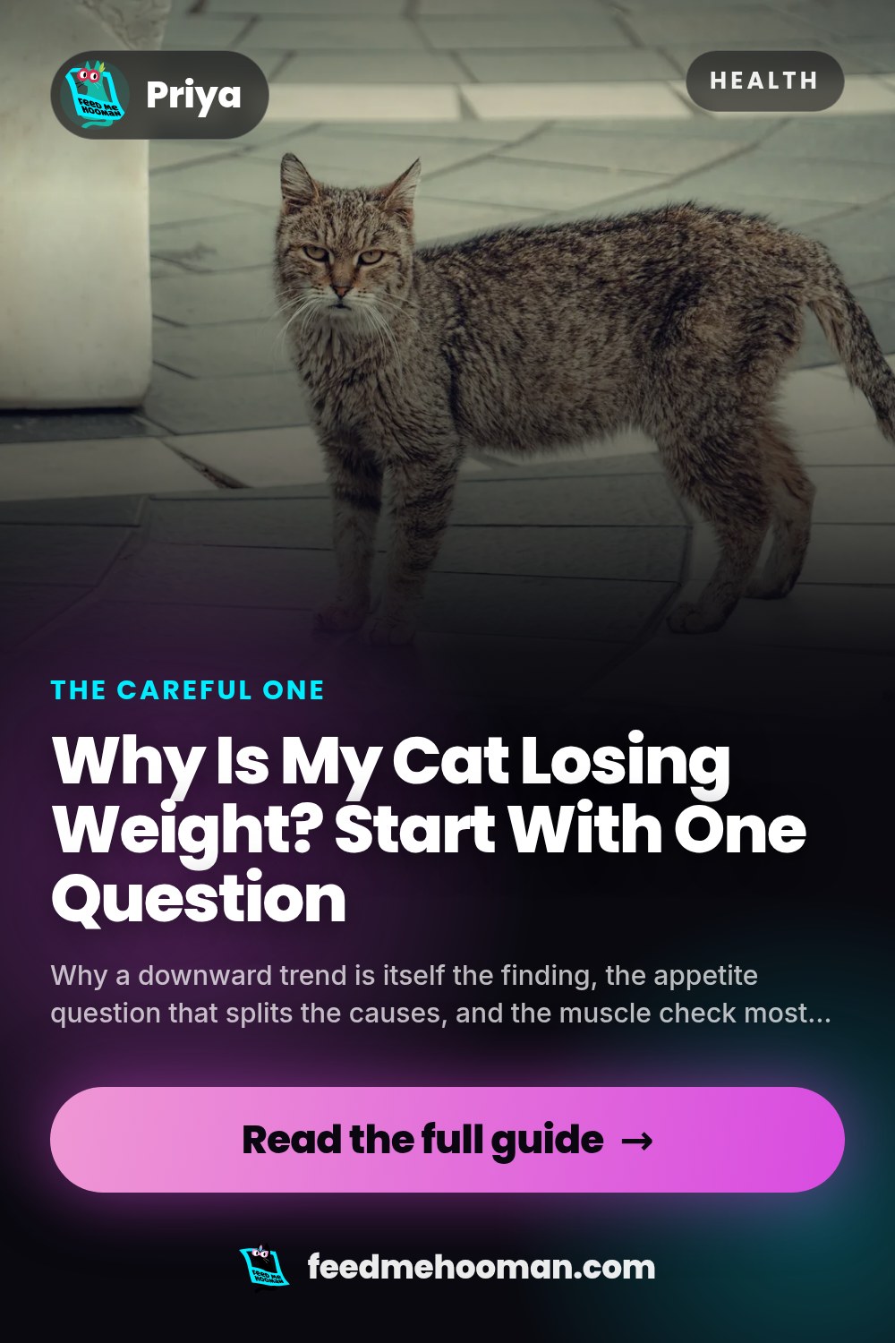 Why Is My Cat Losing Weight? Start With One Question