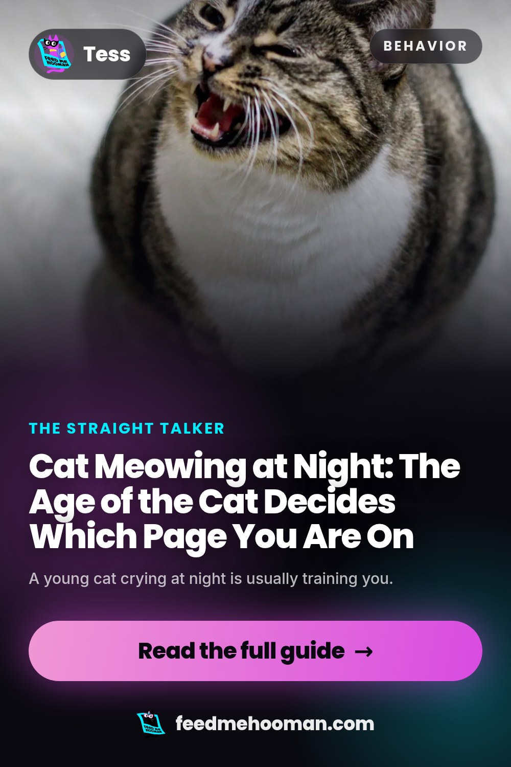 Cat Meowing at Night: The Age of the Cat Decides Which Page You Are On