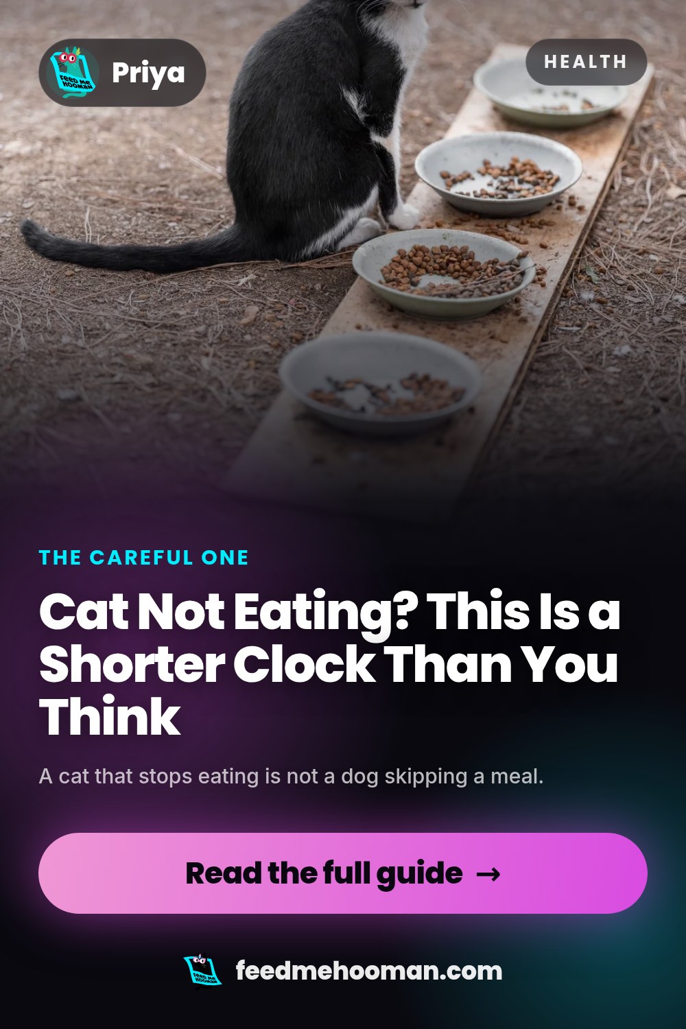 Cat Not Eating? This Is a Shorter Clock Than You Think