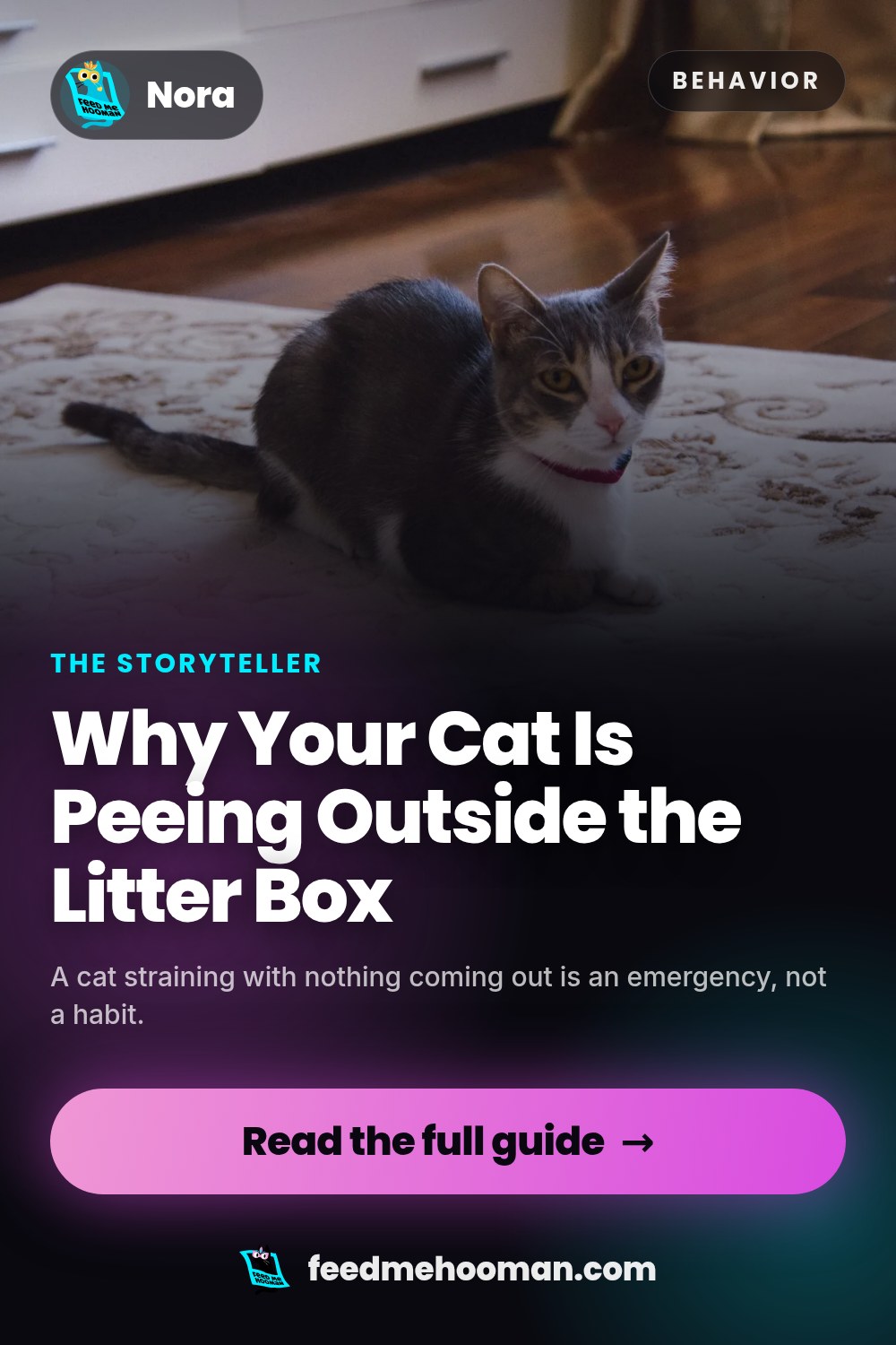 Why Your Cat Is Peeing Outside the Litter Box