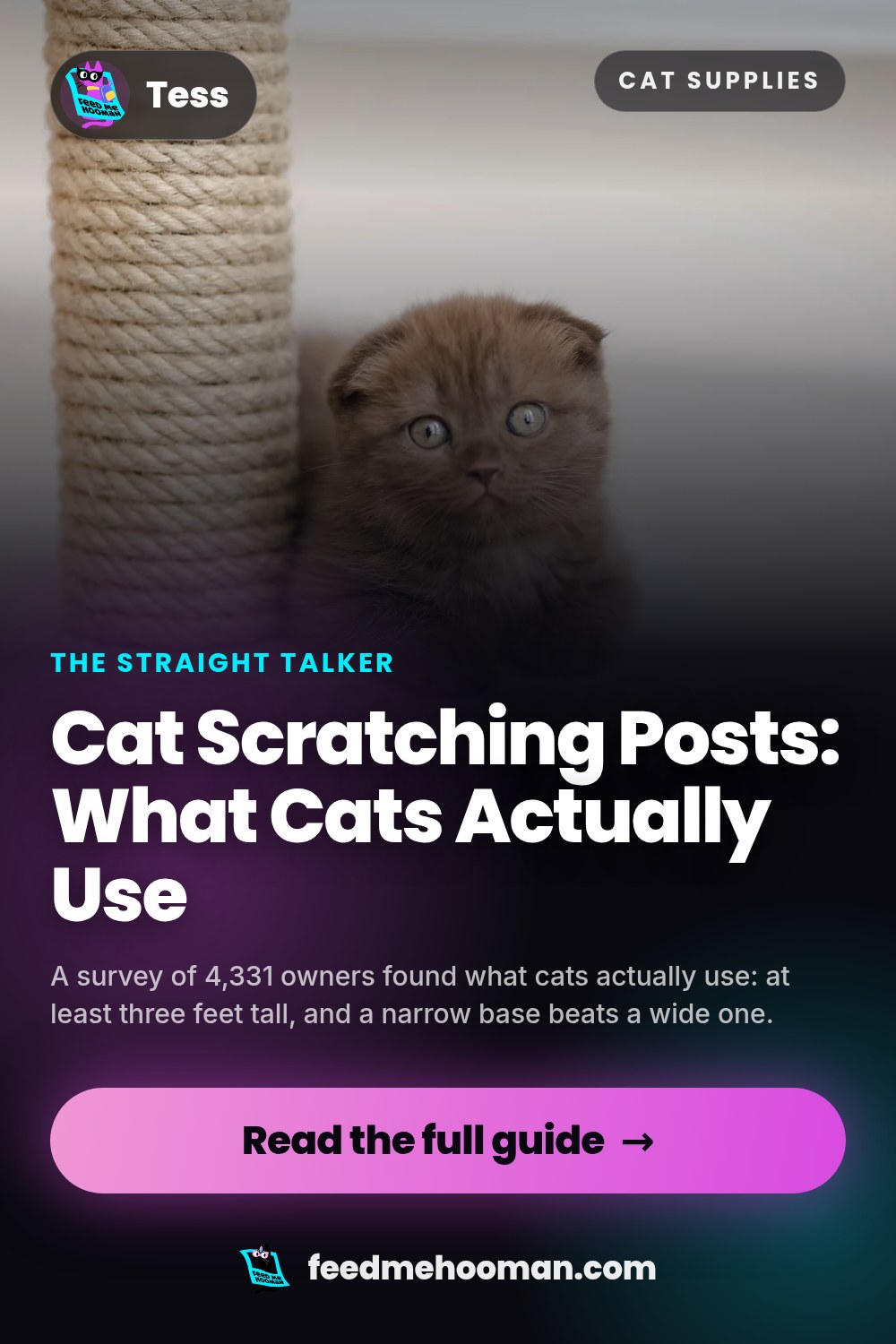 Cat Scratching Posts: What Cats Actually Use