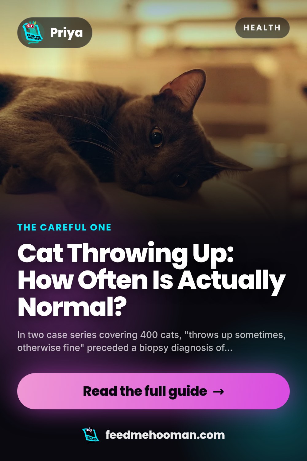 Cat Throwing Up: How Often Is Actually Normal?