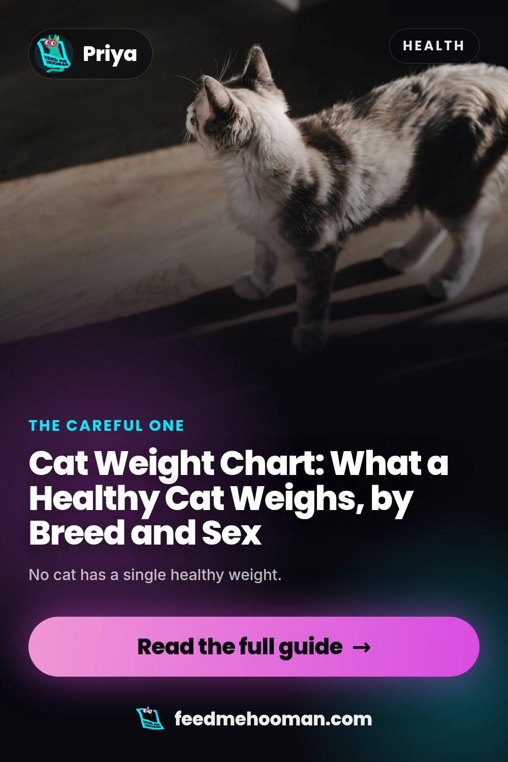 Cat Weight Chart: What a Healthy Cat Weighs, by Breed and Sex