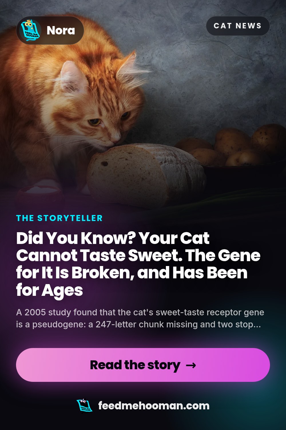 Did You Know? Your Cat Cannot Taste Sweet. The Gene for It Is Broken, and Has Been for Ages