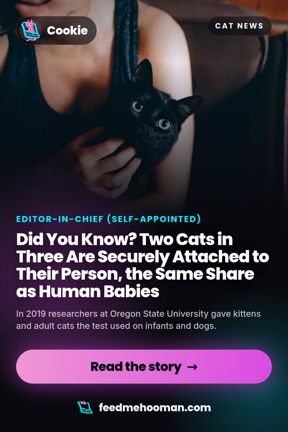 Did You Know? Two Cats in Three Are Securely Attached to Their Person, the Same Share as Human Babies