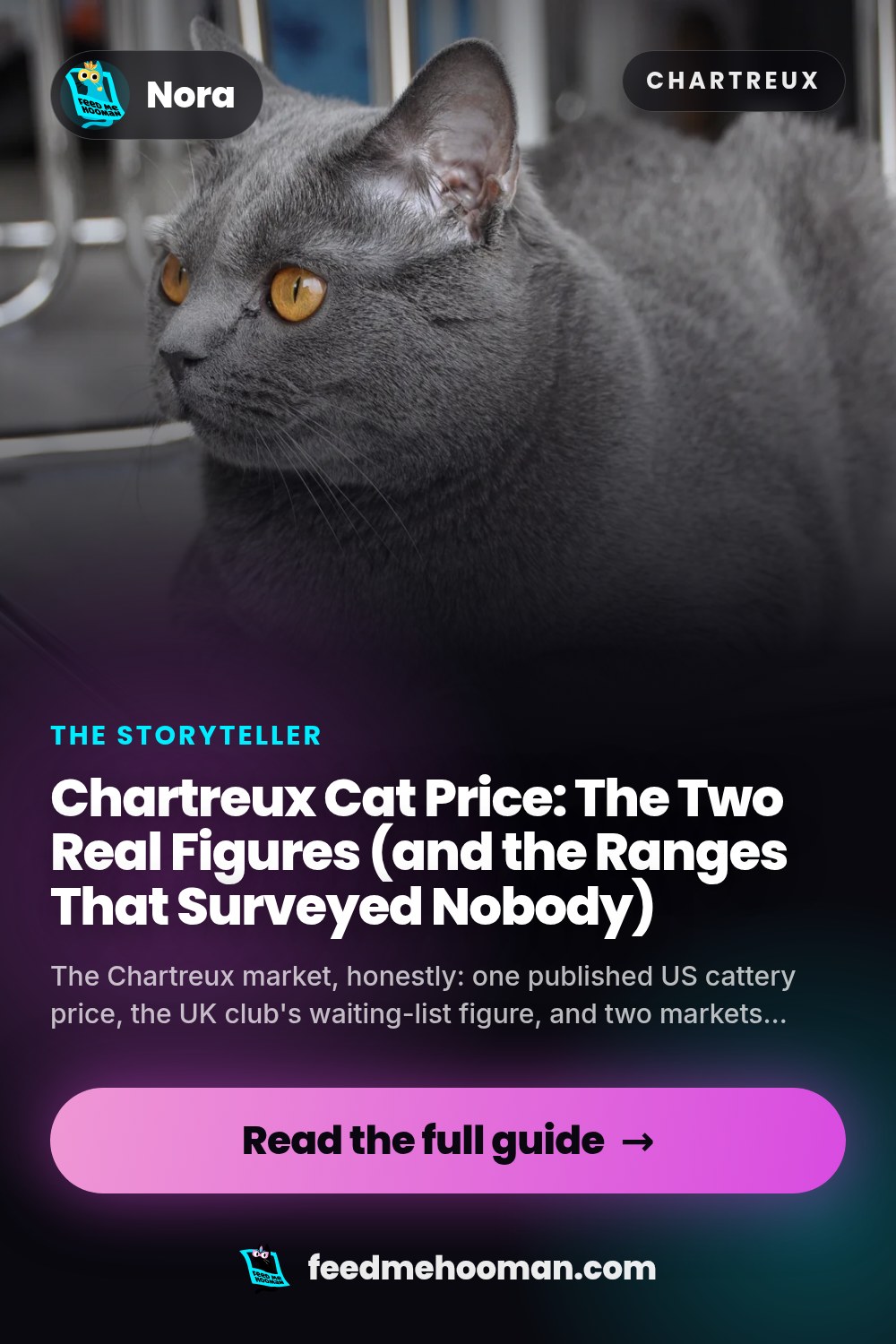 Chartreux Cat Price: The Two Real Figures (and the Ranges That Surveyed Nobody)