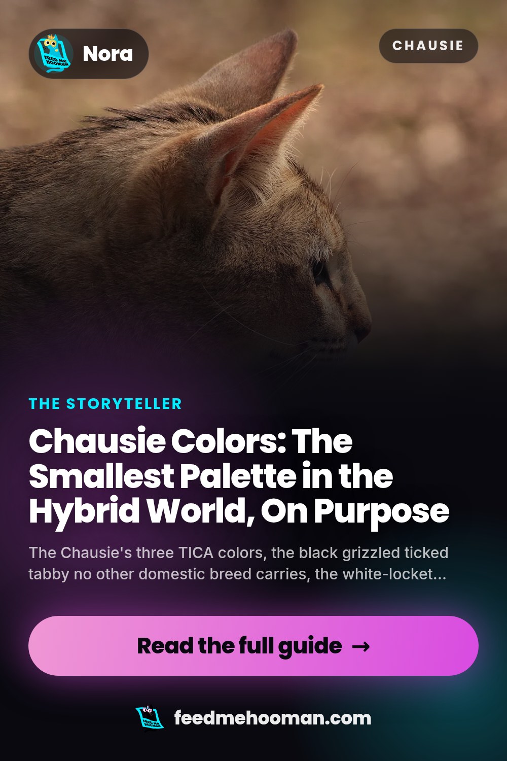 Chausie Colors: The Smallest Palette in the Hybrid World, On Purpose