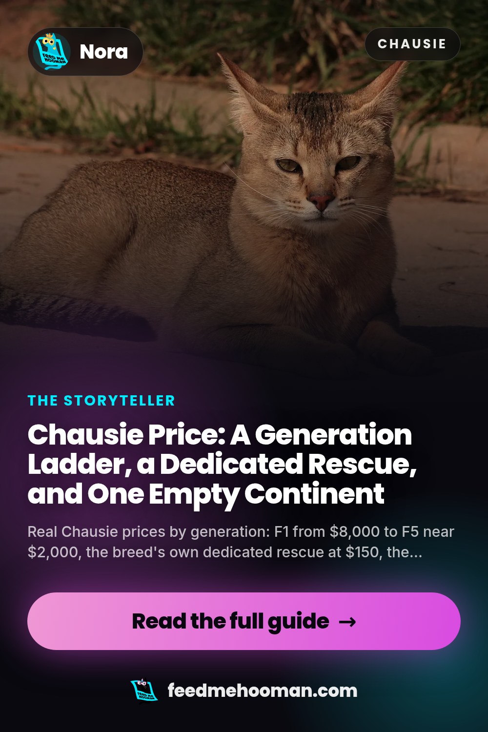 Chausie Price: A Generation Ladder, a Dedicated Rescue, and One Empty Continent