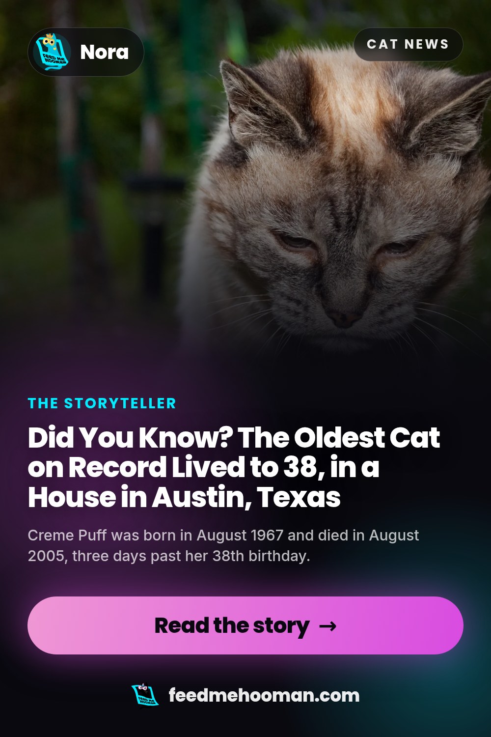 Did You Know? The Oldest Cat on Record Lived to 38, in a House in Austin, Texas