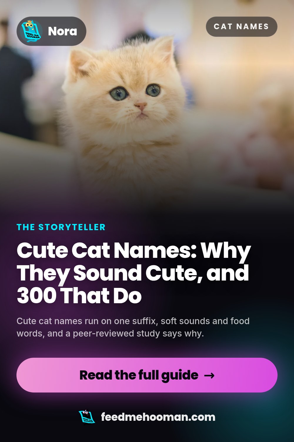 Cute Cat Names: Why They Sound Cute, and 300 That Do