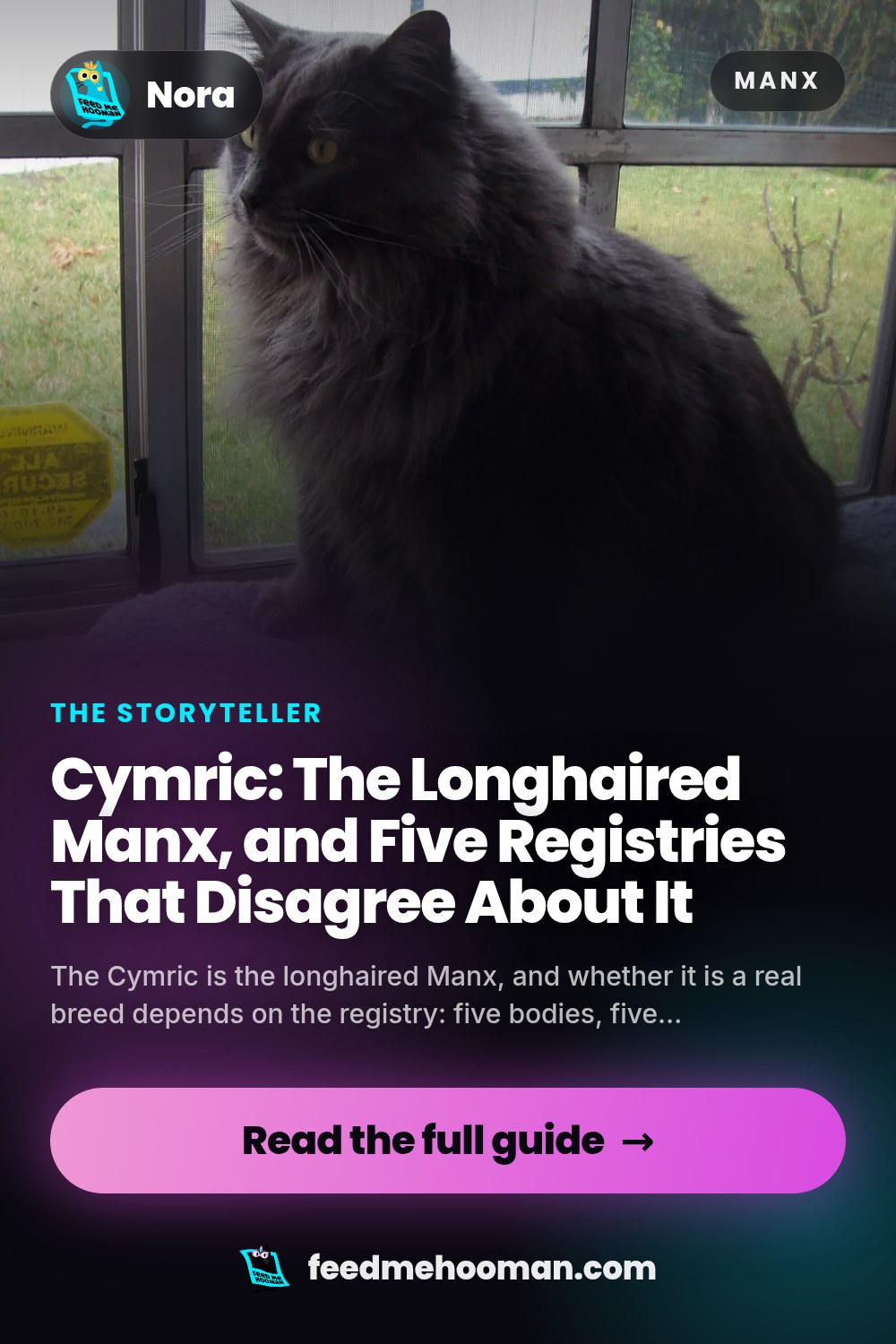 Cymric: The Longhaired Manx, and Five Registries That Disagree About It