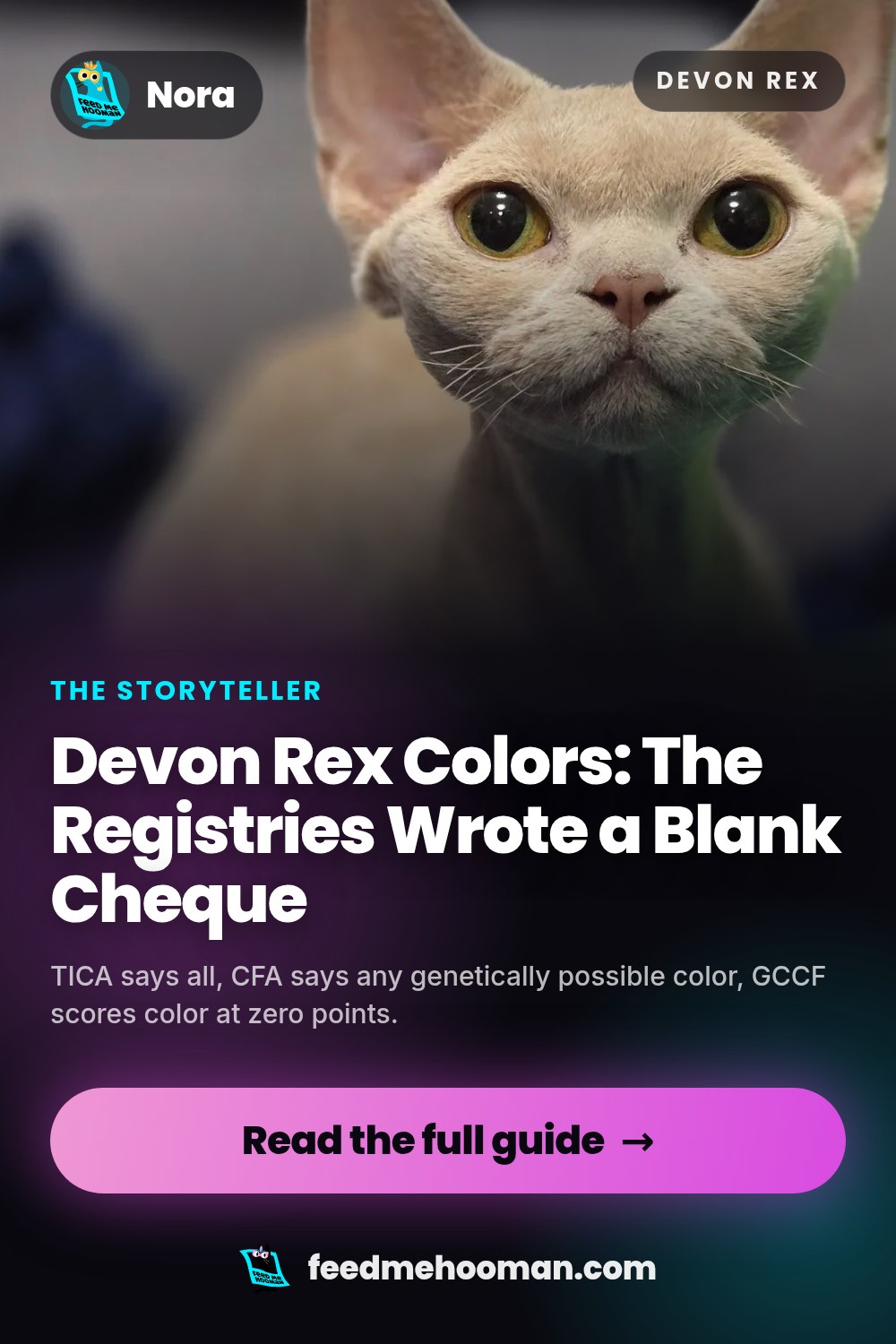 Devon Rex Colors: The Registries Wrote a Blank Cheque