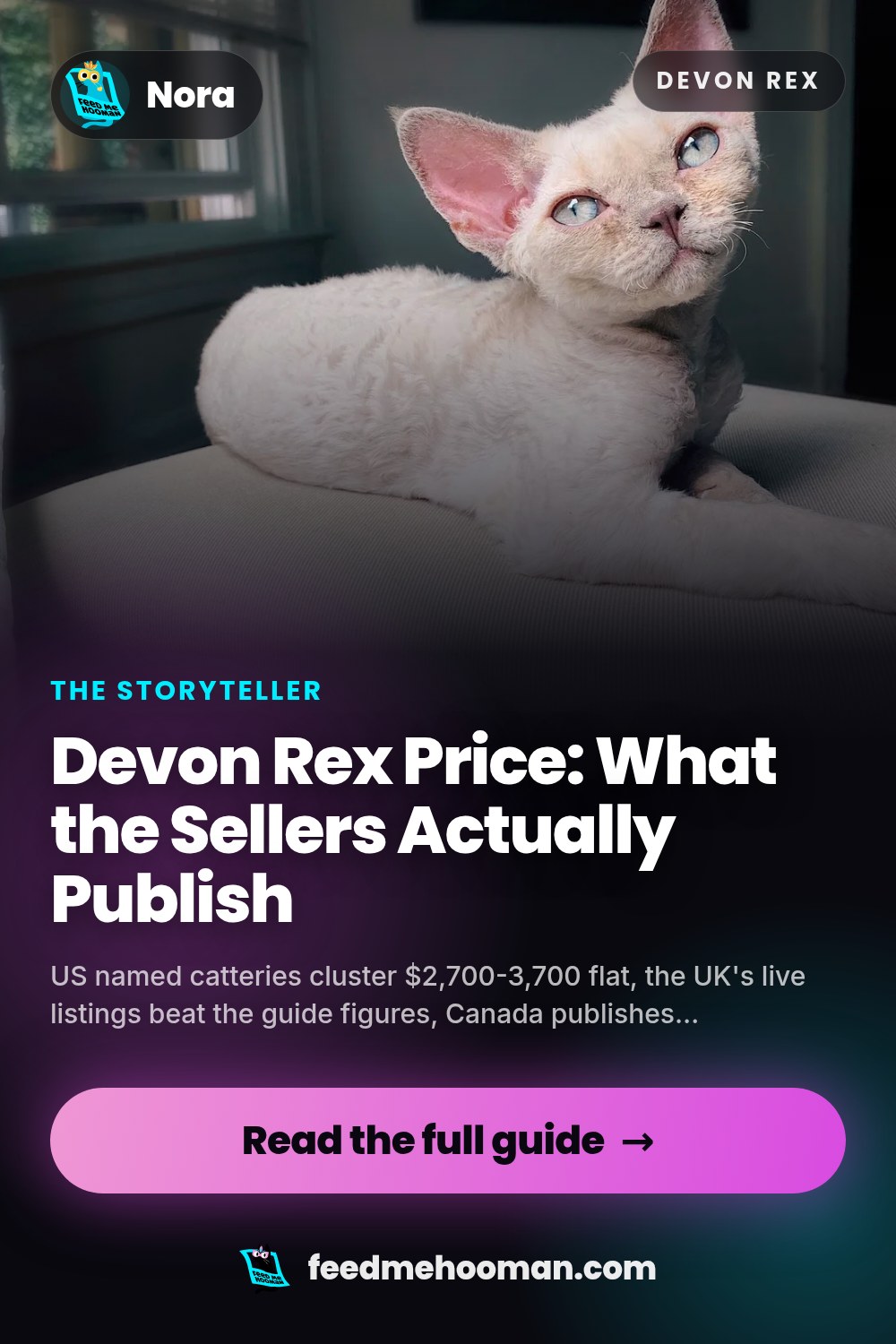 Devon Rex Price: What the Sellers Actually Publish