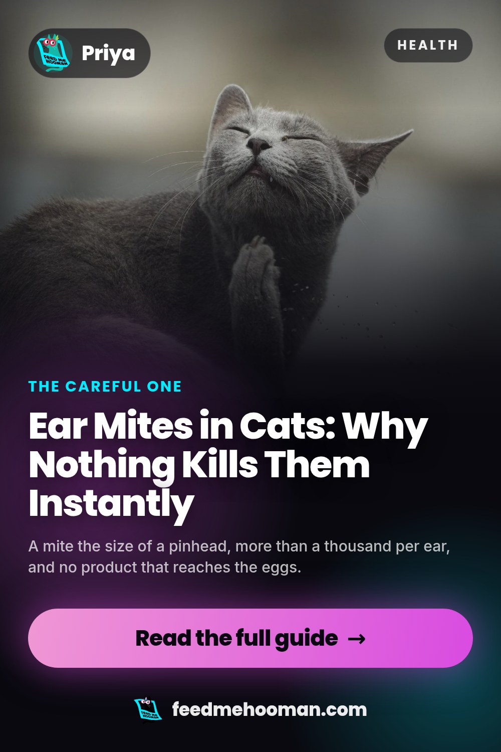 Ear Mites in Cats: Why Nothing Kills Them Instantly