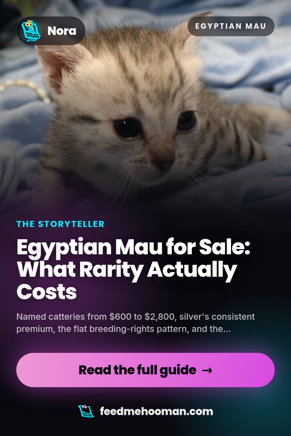 Egyptian Mau for Sale: What Rarity Actually Costs