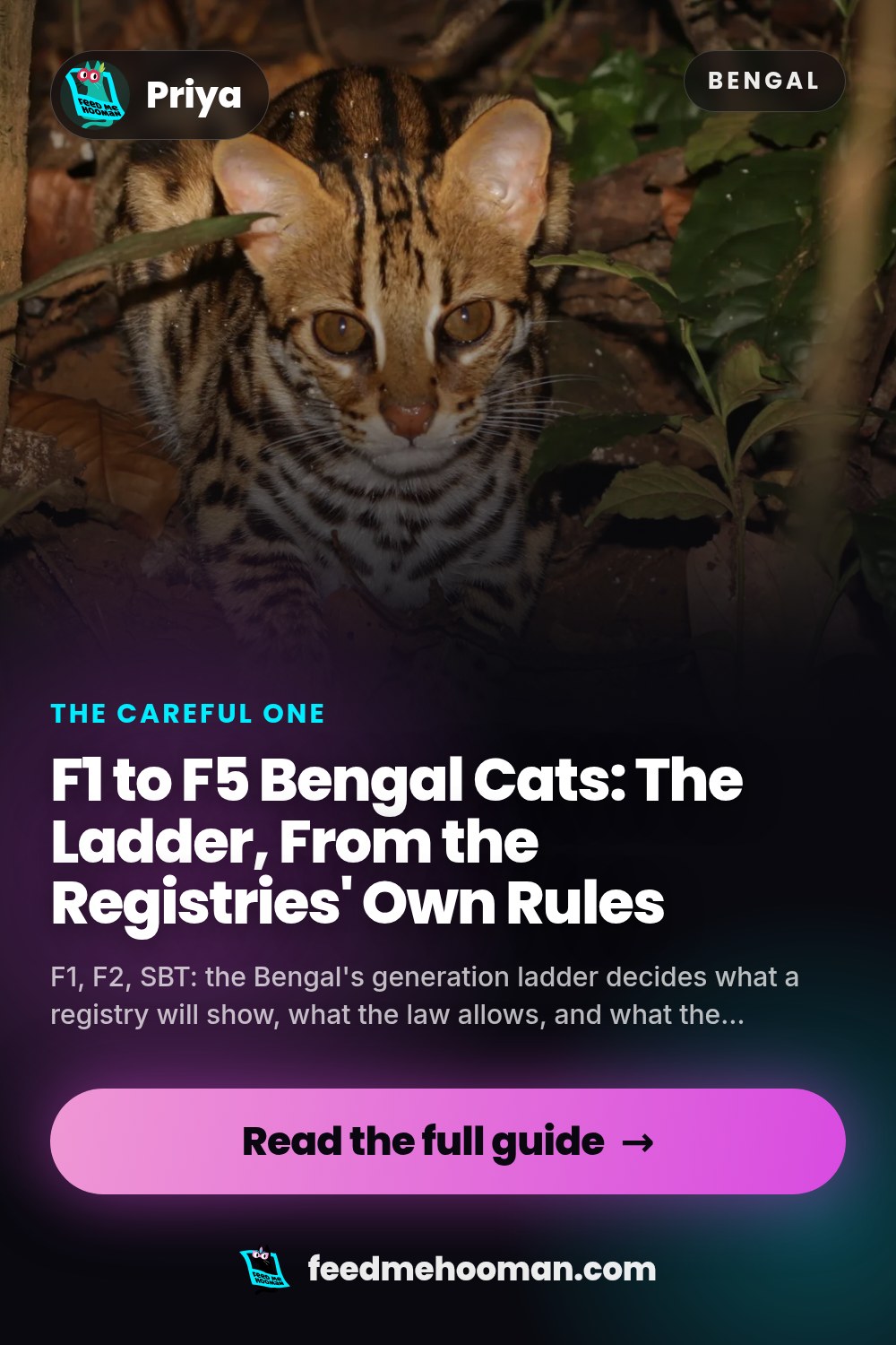 F1 to F5 Bengal Cats: The Ladder, From the Registries' Own Rules