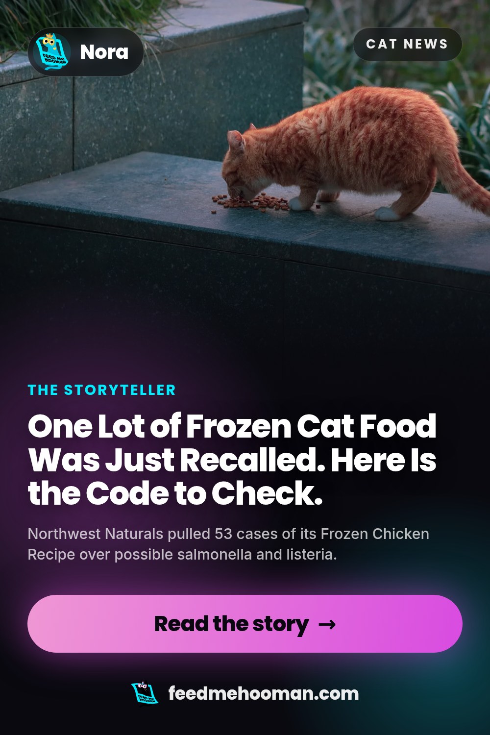 One Lot of Frozen Cat Food Was Just Recalled. Here Is the Code to Check.