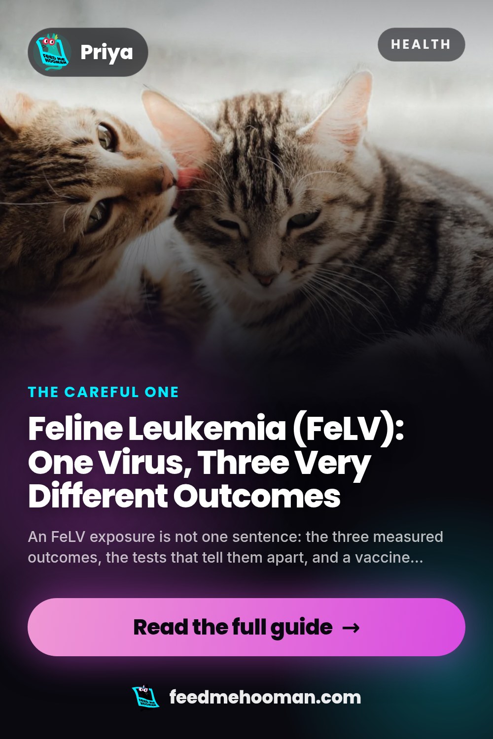 Feline Leukemia (FeLV): One Virus, Three Very Different Outcomes