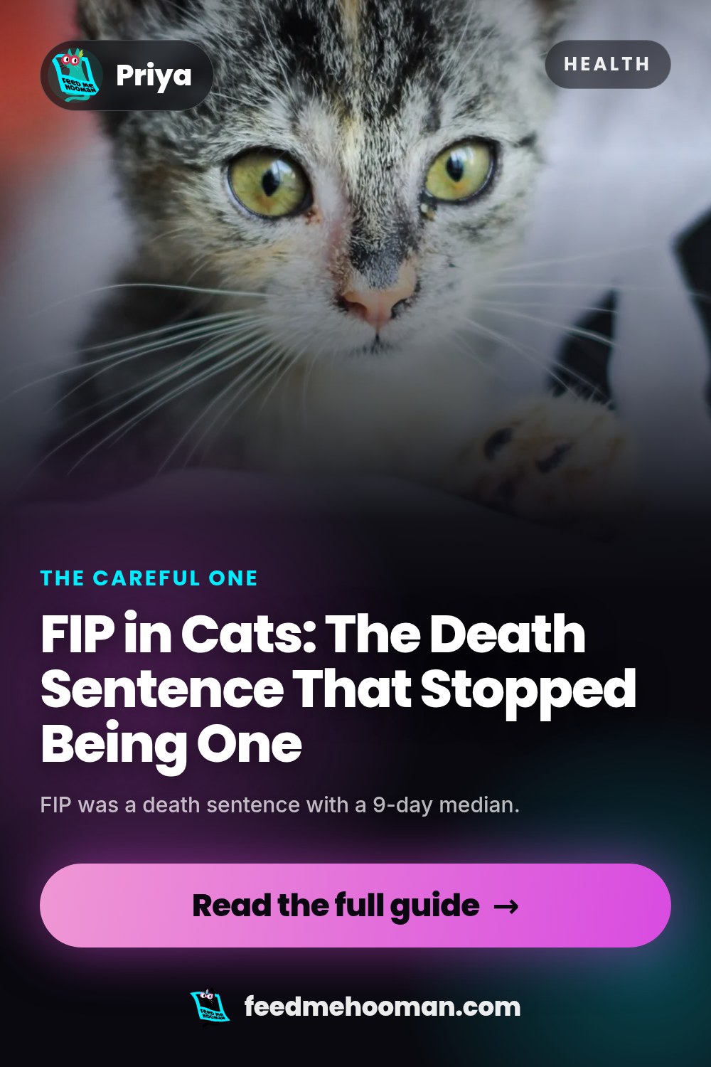 FIP in Cats: The Death Sentence That Stopped Being One